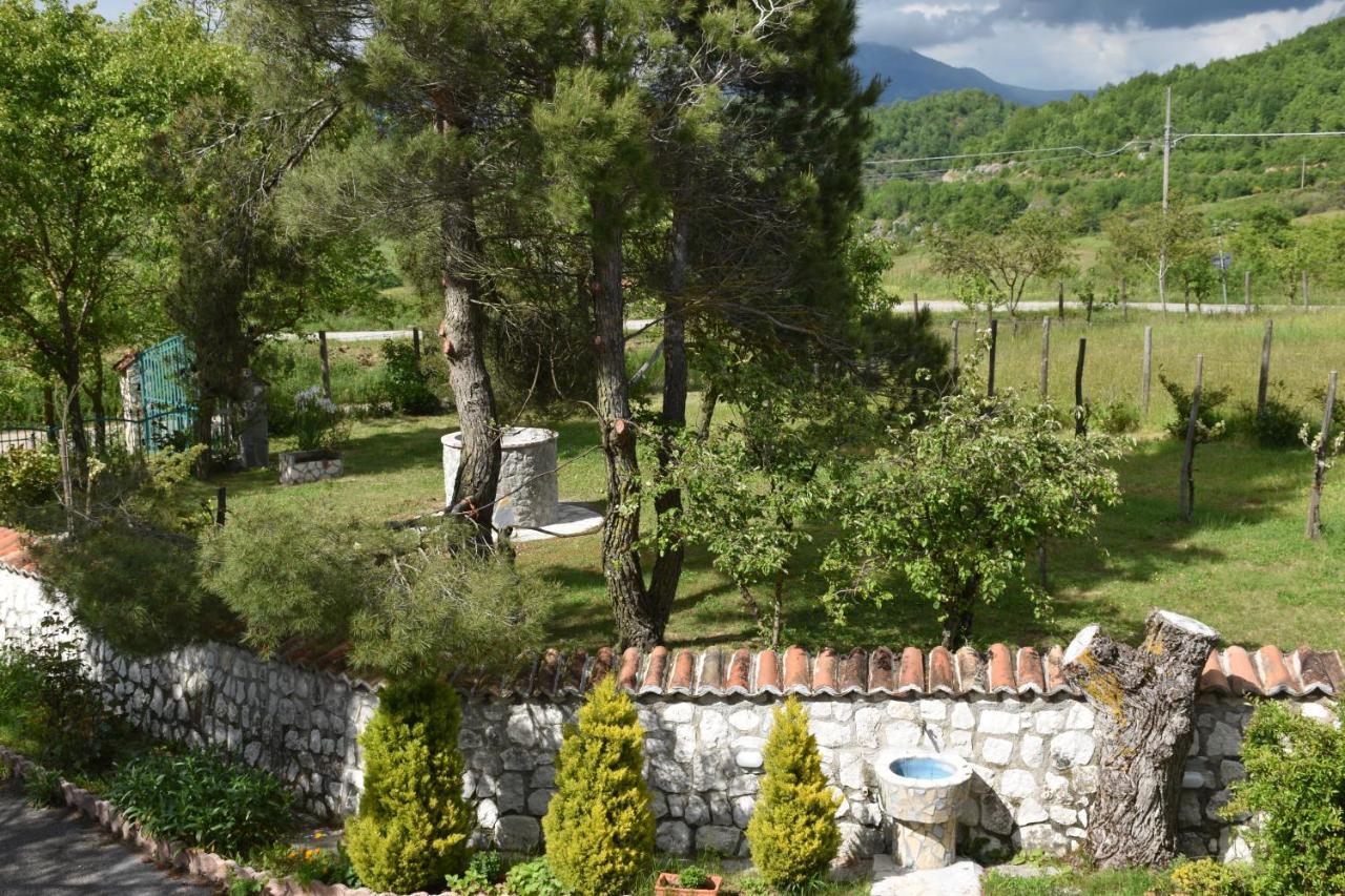 B&B Nel Verde Montesano sulla Marcellana Exterior photo